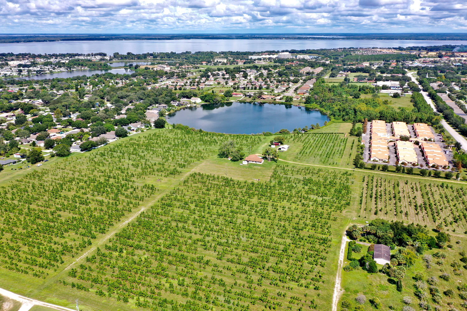 Elmwood aerial view before site work